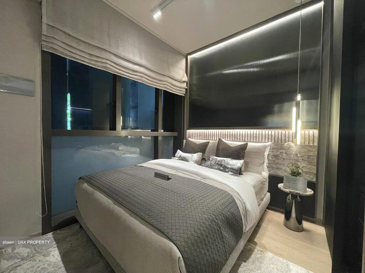 Wallich Street (D2), Condominium #497128501